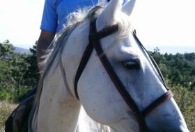 Nikolay, 40 - Just Me