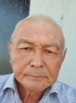 Нургалим, 63 года, Шымкент