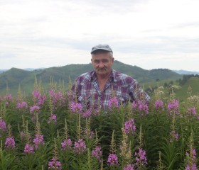 Василий, 64 года, Колывань