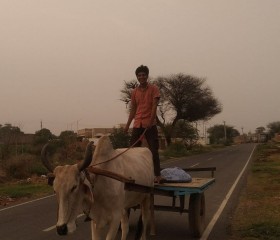 Viki, 18 лет, Gorakhpur (Haryana)