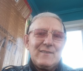 Владимир, 66 лет, Хабаровск