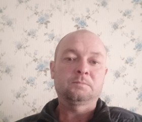Андрей Правдивец, 41 год, Славянск На Кубани
