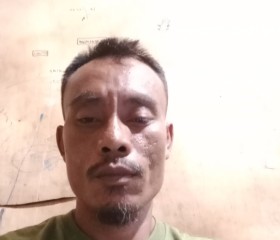 Misdar, 36 лет, Singkil