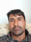 Abdul ghffar, 37 лет, Ankara