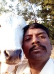 PuTeri Ramadasu, 38 лет, Hyderabad