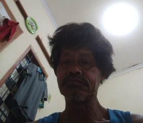 Sarmili, 52 года, Djakarta