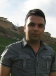 Reza, 40 лет, ازنا