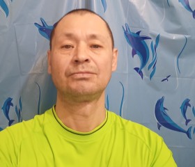 Олег, 44 года, Лотошино