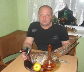 алексей, 49 лет, Щёлкино
