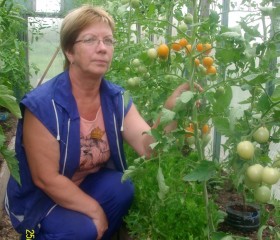 яна, 63 года, Вологда