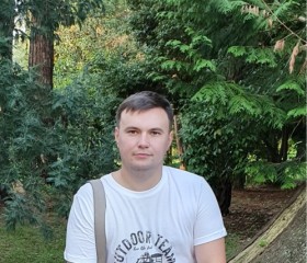 Леонид, 30 лет, Воронеж