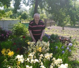 Григорий, 76 лет, Горад Мінск