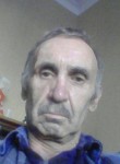 Анатолий, 65 лет, Воронеж