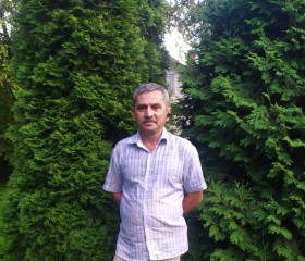 Лев, 61 год, Егорьевск