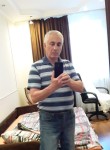 Владимир, 72 года, Томск