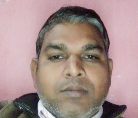 PRAMOD KUMAR, 39 лет, New Delhi