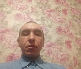 Александр, 43 года, Віцебск