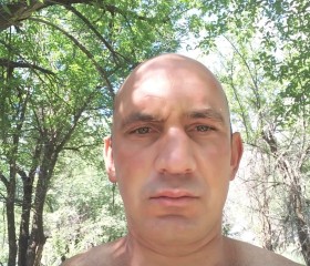 Urii Tcvetkov, 36 лет, Шымкент