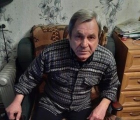Анатолий, 70 лет, Воскресенск