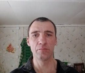 Алексей, 41 год, Онега