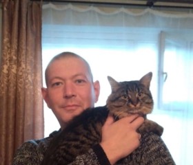 Серж, 36 лет, Петрозаводск