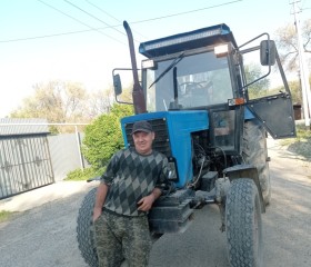 Талян П, 36 лет, Алматы