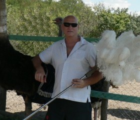 Sergey, 55, Rostov-na-Donu