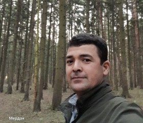 Мердан, 38 лет, Москва