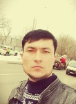 Достон Нормурото, 26 лет, Toshkent