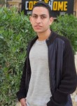 Abdo, 21 год, الجيزة
