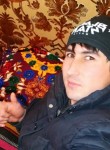 Bakhtovar, 33  , Nizhniy Tagil