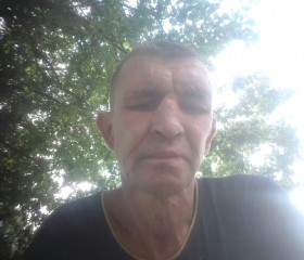 Владимир, 46 лет, Гола Пристань