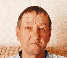 Владимир, 68 лет, Куртамыш