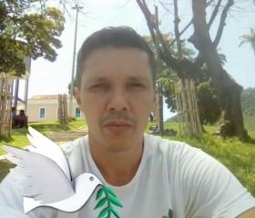 Reginaldo kamke, 46 лет, Viana (Espírito Santo)