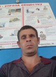 Алексей Быков, 39 лет, Пушкино