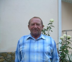 NIK, 65, Gelendzhik