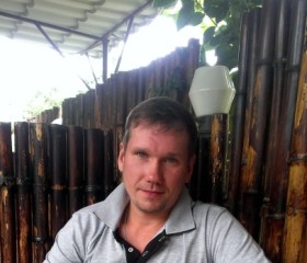 Андрей, 42 года, Полярные Зори