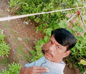 Dinesh Dhemar, 34 года, Narsimhapur