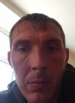 Николай, 35 лет, Саратов