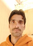 Faisal Pasha, 27 лет, Amroha