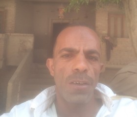 اح, 41, Al Fayyum