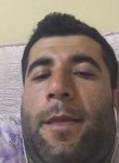 Ahmet, 29 лет, Kızıltepe