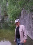 Виктор, 72 года, Лесной