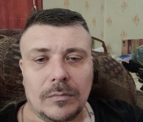 Трофим, 43 года, Озёрск (Калининградская обл.)