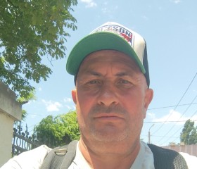 Maksima, 55, Vienna