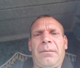 Алексей, 41 год, Майна