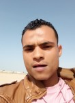 محمود سلامة شحات, 33 года, طنطا