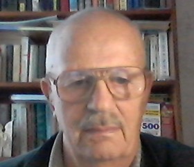 Илья Короп, 78 лет, Шебекино