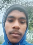 Umesh prajapati, 18 лет, Lucknow