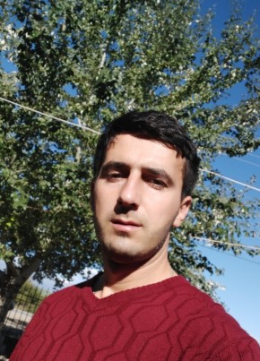 Alik, 32, Azərbaycan Respublikası, Sheki